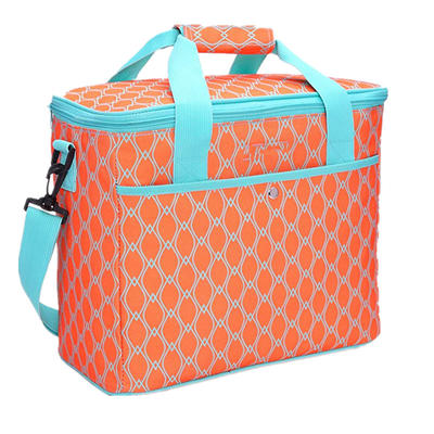 18L Large Soft Cooler Insulated Picnic Bag for Grocery Camping