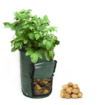 10 Gallon Garden Vegetables Planter Bags with Handles and Access Flap for Planting Potato Carrot Onion Taro Radish Peanut
